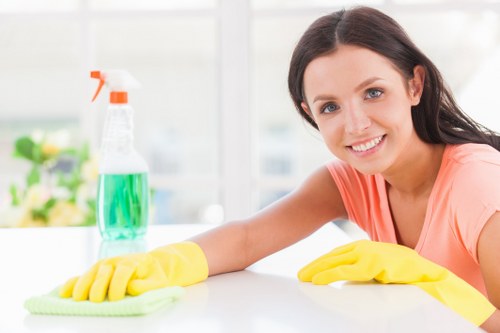 Professional cleaner preparing a flat in Belsize Park for a detailed local cleaning service