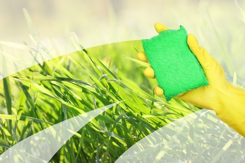 Residential and commercial oven cleaning service near Belsizepark