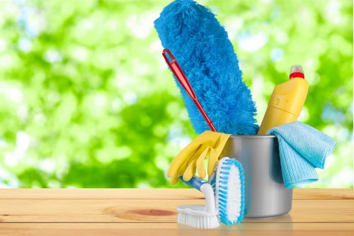Professional oven cleaning service for a home kitchen in Belsizepark