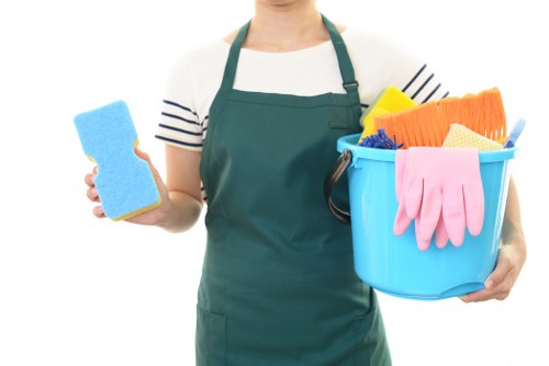 Professional oven cleaning in Belsize Park with a spotless kitchen appliance