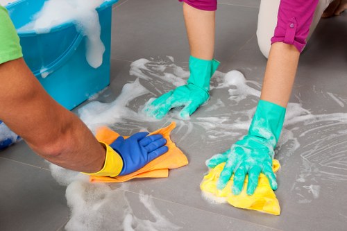 Professional cleaner inspecting an oven before cleaning