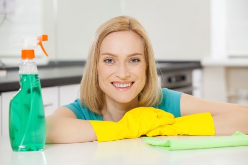 Professional domestic cleaning in a Belsize Park flat