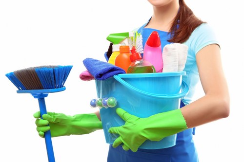 Kitchen and bathroom cleaning equipment ready for a deep clean in a Belsize Park property
