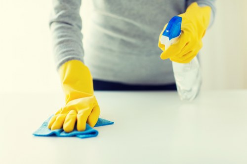 Regular domestic cleaning in a Belsizepark apartment