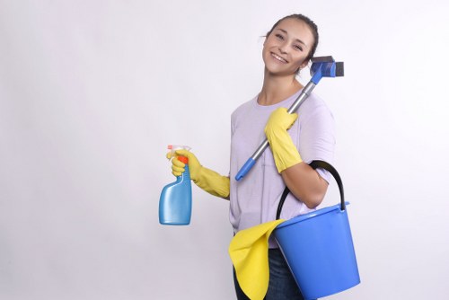 Regular housekeeping support for a Belsizepark flat with staircase access