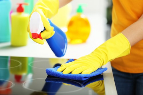 Sofa upholstery stain treatment and fabric care service