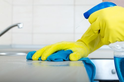 Local cleaners handling a period property in Belsizepark
