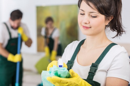 Professional deep cleaning checklist and preparation in Belsizepark