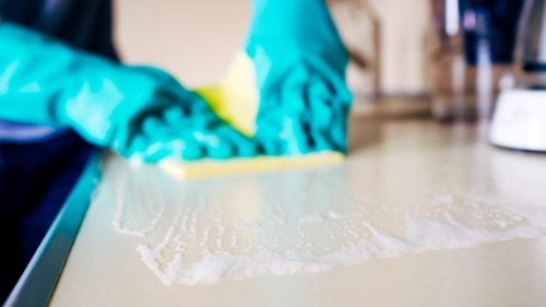 Deep carpet cleaning process for a local property