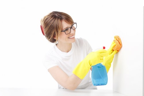 Bathroom deep cleaning in a Belsizepark property