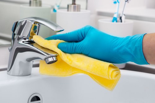 Protective cleaning process for a kitchen oven
