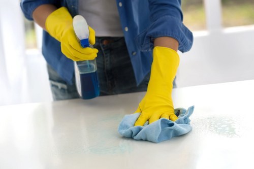 Bathroom and hallway domestic cleaning in a local North West London home