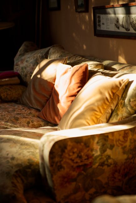 A close-up view of a patterned fabric sofa in a residential living room, illuminated by warm sunlight streaming through a window, highlighting the sofa's floral upholstery. Several decorative cushions